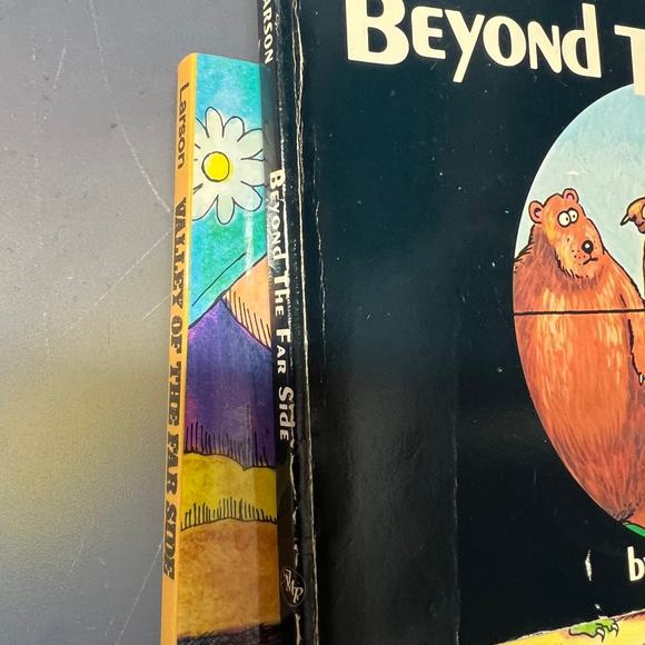 Far side books X2 - Picture 5 of 7